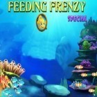 Download game Feeding frenzy special for free and Survivor Legend for Android phones and tablets .
