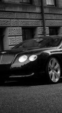 New 800x480 mobile wallpapers Transport, Auto, Bentley free download.