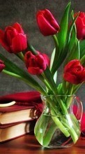New mobile wallpapers - free download. Bouquets, Flowers, Books, Still life, Objects, Plants, Tulips picture and image for mobile phones.