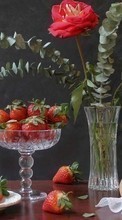 New mobile wallpapers - free download. Food,Fruits,Strawberry,Still life picture and image for mobile phones.