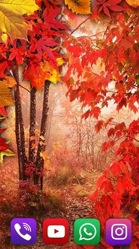Download Autumn rain by SweetMood free Interactive livewallpaper for Android phone and tablet.