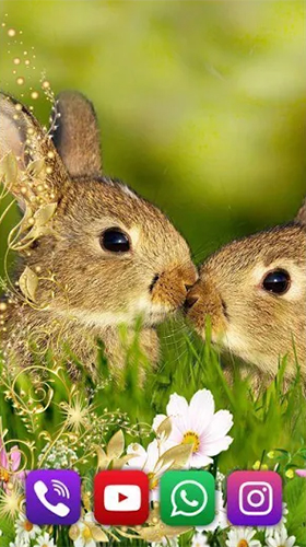Download Bunnies free Animals livewallpaper for Android phone and tablet.