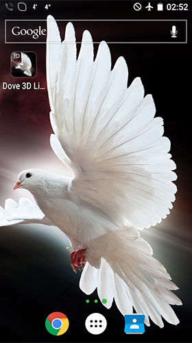 Download Dove 3D free Animals livewallpaper for Android phone and tablet.