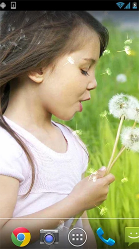Download livewallpaper Girl and dandelion for Android.