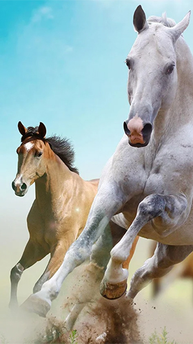 Download Horse by Happy live wallpapers free Animals livewallpaper for Android phone and tablet.