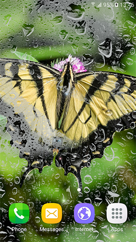 Download Macro butterflies free Animals livewallpaper for Android phone and tablet.