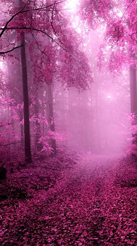 Download Pink forest free Fantasy livewallpaper for Android phone and tablet.