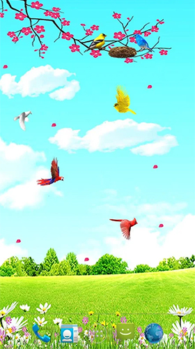 Download livewallpaper Sky birds for Android.