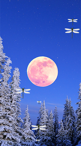 Moonlight by Fantastic Live Wallpapers apk - free download.