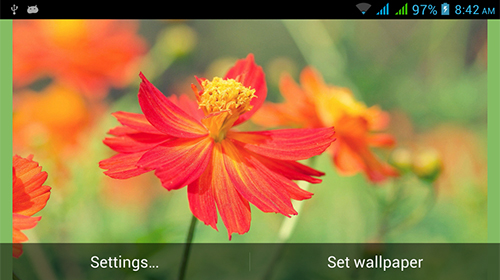 Nature HD by Live Wallpapers Ltd. apk - free download.