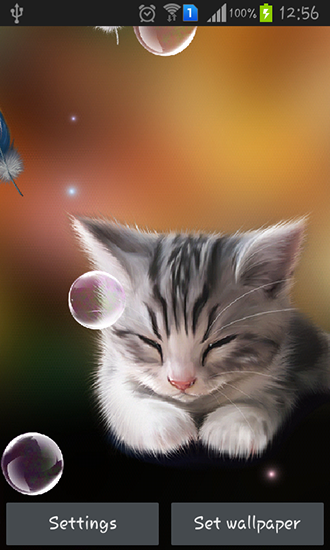 Download Sleepy kitten free livewallpaper for Android 4.1.2 phone and tablet.