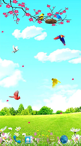 Screenshots of the live wallpaper Sky birds for Android phone or tablet.