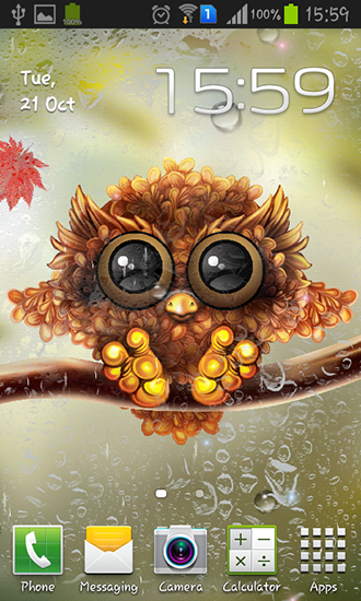 Screenshots of the live wallpaper Autumn little owl for Android phone or tablet.