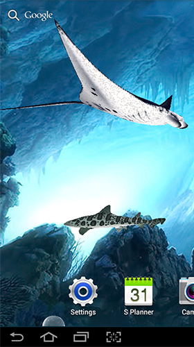 Full version of Android apk livewallpaper Sharks 3D by BlackBird Wallpapers for tablet and phone.