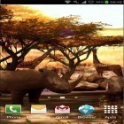 Download live wallpaper Africa 3D for free and Color pictures for Android phones and tablets .