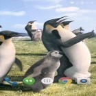 Download live wallpaper Arctic Penguin for free and Amazing Land for Android phones and tablets .