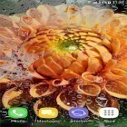 Download live wallpaper Autumn and winter flowers for free and Cat by Fantastic Live Wallpapers for Android phones and tablets .