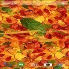Download live wallpaper Autumn Leaves for free and Egypt 3D for Android phones and tablets .