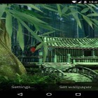 Download live wallpaper Bamboo house 3D for free and Air force for Android phones and tablets .