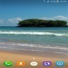 Download live wallpaper Beach by Byte Mobile for free and Cactus flowers for Android phones and tablets .