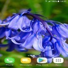 Download live wallpaper Beautiful spring flowers for free and Gun for Android phones and tablets .