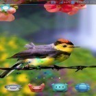 Download live wallpaper Birds 3D by AppQueen Inc. for free and African sunset for Android phones and tablets .