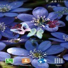 Download live wallpaper Butterfly by Live Wallpapers 3D for free and Despicable me 2 for Android phones and tablets .