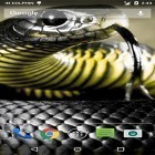 Download live wallpaper Cobra attack for free and Autumn flower for Android phones and tablets .