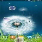 Download live wallpaper Dandelions by Amax LWPS for free and Moonlight by Fantastic Live Wallpapers for Android phones and tablets .