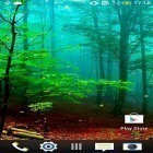 Download live wallpaper Forest by Wallpapers and Backgrounds Live for free and Army for Android phones and tablets .