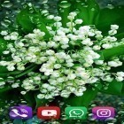 Download live wallpaper Forest lilies for free and Cute lovers for Android phones and tablets .