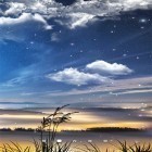 Download live wallpaper Meteor shower by Amax LWPS for free and Scottish fold cat for Android phones and tablets .