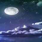 Download live wallpaper Moonlight by App Basic for free and Cute lovers for Android phones and tablets .