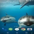 Download live wallpaper Ocean 3D: Dolphin for free and Fantasy magic touch for Android phones and tablets .