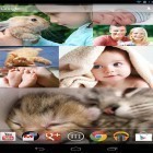 Download live wallpaper Photo wall FX for free and Fairy girl HD for Android phones and tablets .