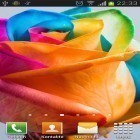 Download live wallpaper Rainbow roses for free and Moonlight by Fantastic Live Wallpapers for Android phones and tablets .