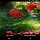 Download live wallpaper Red rose by DynamicArt Creator for free and Phoenix by Niceforapps for Android phones and tablets .