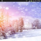 Download live wallpaper Snowfall for free and Winter forest for Android phones and tablets .