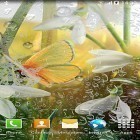 Spring by Amax LWPS apk - download free live wallpapers for Android phones and tablets.