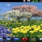 Download live wallpaper Spring flowers by SoundOfSource for free and Spring cat for Android phones and tablets .