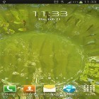 Download live wallpaper True water for free and Cat by Fantastic Live Wallpapers for Android phones and tablets .