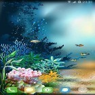 Download live wallpaper Underwater world by orchid for free and Dreamcatcher by Niceforapps for Android phones and tablets .