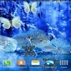 Download live wallpaper Abstract butterflies for free and New Year candles for Android phones and tablets .