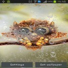 Download live wallpaper Autumn little owl for free and Gun for Android phones and tablets .