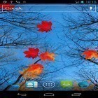Download live wallpaper Autumn maple for free and Mermaid by Latest Live Wallpapers for Android phones and tablets .