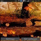 Download live wallpaper Autumn rain for free and Cartoon city for Android phones and tablets .