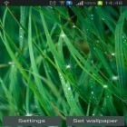 Download live wallpaper Awesome for free and Particle 3D for Android phones and tablets .