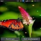 Download live wallpaper Best butterfly for free and Love wishes for Android phones and tablets .