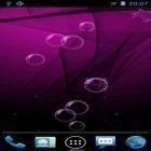 Download live wallpaper Bubble live wallpaper for free and Hamster for Android phones and tablets .