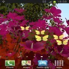 Download live wallpaper Butterflies by Wizzhard for free and Particle 3D for Android phones and tablets .
